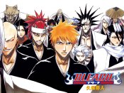 bleach-anime-series-complete-dvd-1-301-eps-ova-movies-102b51.jpg